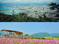 -亚龙湾热带天堂森林公园