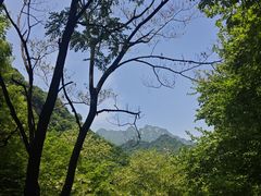 -秦岭终南山世界地质公园翠华山景区