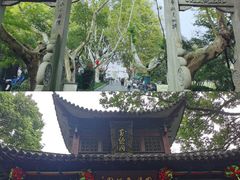 -杭州黄龙洞