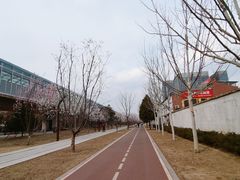 -五道口(地铁站)