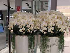 -远洋未来广场(育慧北路店)