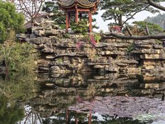 -顺峰山公园