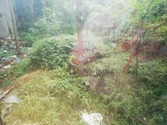 -水王国温泉水世界