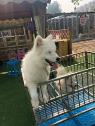 -萌宠亲子动物乐园(槐房万达店)