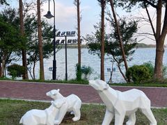 -金鸡湖桃花岛