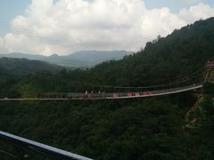 -九龙江国家森林公园