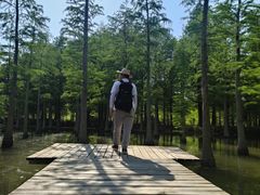 -泗洪洪泽湖湿地景区
