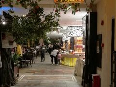 门面-白虎自助餐厅·真老虎·景观自助餐厅(广州长隆酒店)