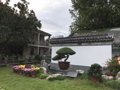 -水绘园