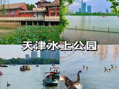 -天津水上公园