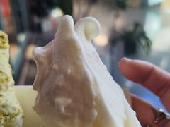 -野人牧坊Gelato(天津南开大悦城店)