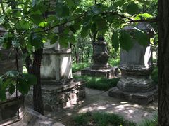 -北京上方山国家森林公园
