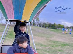 -武汉紫薇都市田园