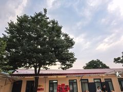 -大鹅岛灶台鱼·铁锅炖(水库路店)