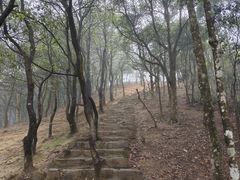 -梧桐山风景名胜区