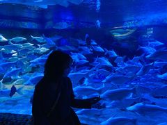 -成都浩海立方海洋公园