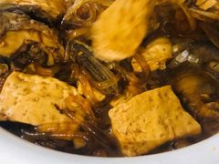 -金鹏鱼肉馆
