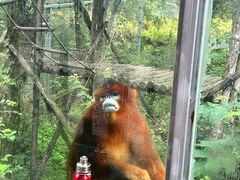 -哈尔滨北方森林动物园