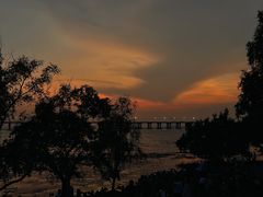 -宝安西湾红树林湿地公园
