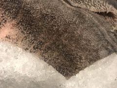 -渝涯重庆豆花老火锅(中赢国际店)