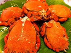 -永泰福朋喜来登酒店-宜客乐自助餐厅(远大路店)