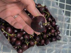 -双福水果批发市场