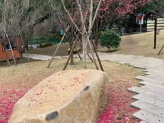 -乌山风景区