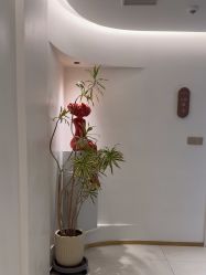 -WENDY·温迪皮肤管理