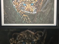 -罗红摄影艺术馆