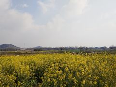 -南北湖风景区
