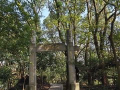 -上海佘山国家森林公园天马山园