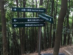 -南山植物园