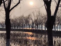 -艾溪湖湿地公园