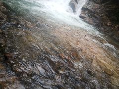 -九龙江国家森林公园