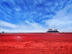 -红海滩国家风景廊道