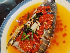 剁椒鱼头-大唐高老庄(红旗路店)