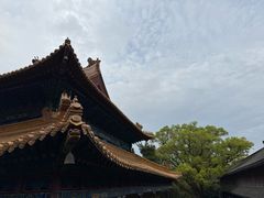 -普陀山风景名胜区-法雨禅寺