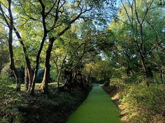 -蜀冈西峰生态公园