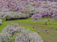 -豪客来牛排(文化路店)