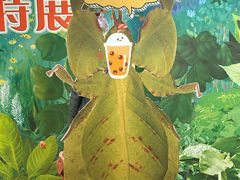 -上海昆虫博物馆