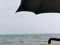 -北戴河集发农业梦想王国