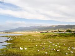 -青海湖国家重点风景名胜区