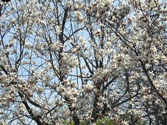 -杭州西湖风景名胜区-钱祠表忠