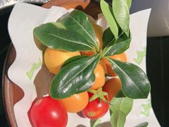 -季季山·云南野生菌火锅(上海首店)