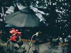 -龙井壹号·茶缘山景宴(龙井村店)