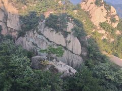 -六里坪国家森林公园