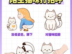 -爱侣·安琦尔宠物医院·中兽医针灸·心内科·狂犬免疫点(宝山区院)
