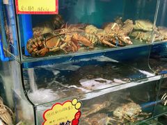 水产区-蚝专家(北滘店)