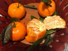 -京尊烤鸭店JINGZUN(春秀路店)