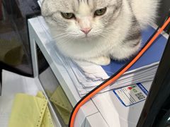-远东大厦
